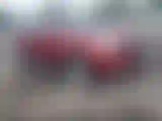 Vehicle Image- 2010 Chevrolet Equinox