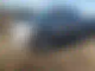 Vehicle Image- 2010 Chevrolet Equinox