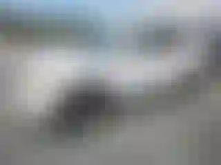 Vehicle Image- 2011 GMC Terrain