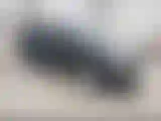 Vehicle Image- 2010 GMC Terrain