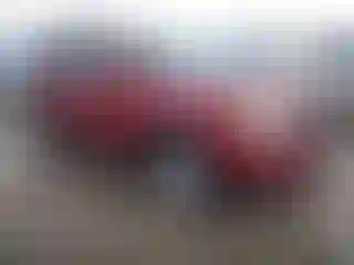 Vehicle Image- 2010 GMC Terrain