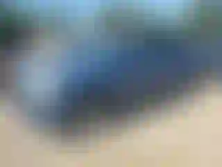 Vehicle Image- 2011 GMC Terrain