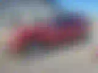 Vehicle Image- 2011 GMC Terrain