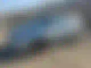 Vehicle Image- 2005 Dodge Caravan