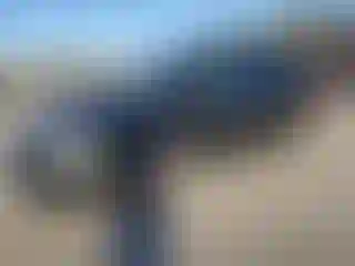 Vehicle Image- 2005 Dodge Caravan