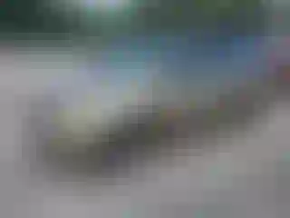 Vehicle Image- 2006 Dodge Caravan