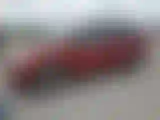 Vehicle Image- 2007 Dodge Caravan