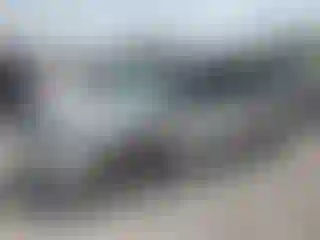 Vehicle Image- 2007 Dodge Caravan
