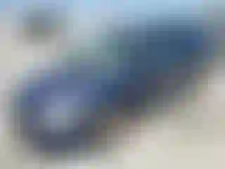 Vehicle Image- 2004 Dodge Caravan