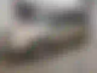Vehicle Image- 2007 Dodge Caravan