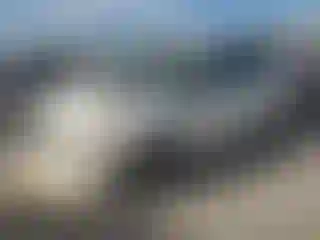 Vehicle Image- 2005 Dodge Caravan