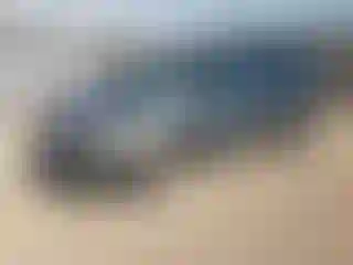 Vehicle Image- 2005 Dodge Caravan