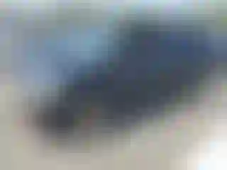 Vehicle Image- 2007 Dodge Caravan