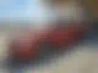 Vehicle Image- 2004 Dodge Caravan