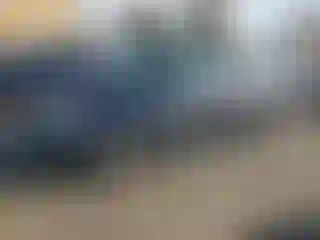 Vehicle Image- 2007 Dodge Caravan