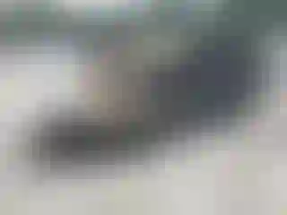 Vehicle Image- 2004 Dodge Caravan