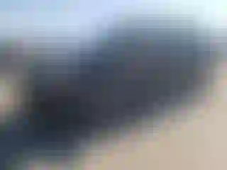 Vehicle Image- 2010 Dodge Caravan