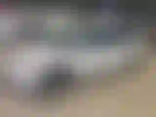 Vehicle Image- 2010 Dodge Caravan