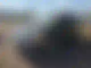 Vehicle Image- 2010 Dodge Caravan