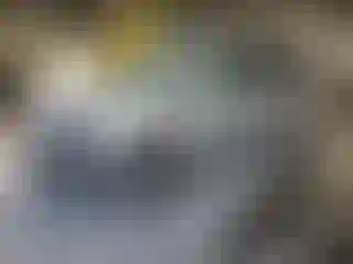 Vehicle Image- 2010 Dodge Caravan