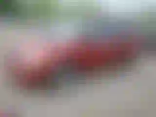 Vehicle Image- 2006 Dodge Caravan