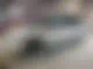 Vehicle Image- 2007 Dodge Caravan