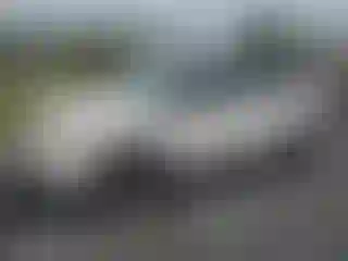 Vehicle Image- 2009 Dodge Caravan