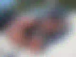 Vehicle Image- 2008 Dodge Caravan