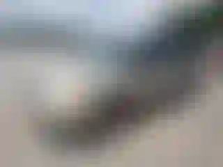 Vehicle Image- 2008 Dodge Caravan