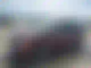 Vehicle Image- 2009 Dodge Caravan