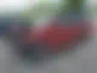 Vehicle Image- 2009 Dodge Caravan