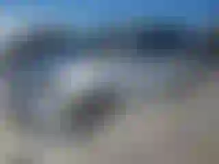Vehicle Image- 2009 Dodge Caravan