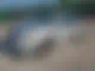 Vehicle Image- 2008 Dodge Caravan