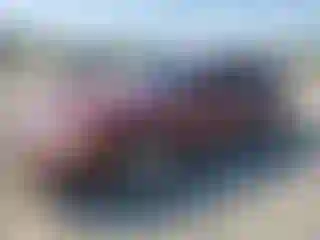 Vehicle Image- 2011 Ford Crown Victoria