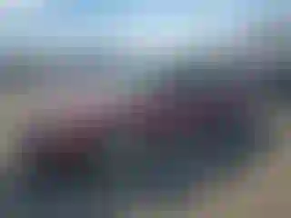 Vehicle Image- 2011 Ford Crown Victoria