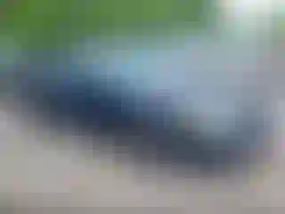 Vehicle Image- 2006 Ford Crown Victoria