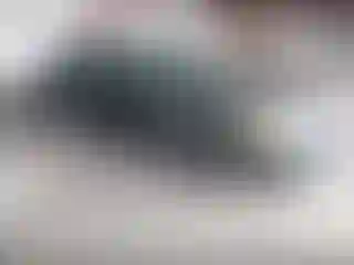 Vehicle Image- 2001 Ford Crown Victoria