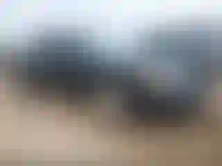 Vehicle Image- 2000 Ford Crown Victoria