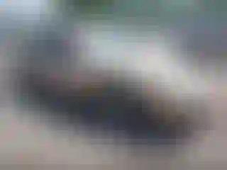 IMPORTOWO.pl