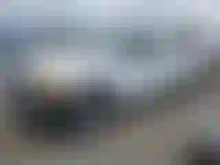 Vehicle Image- 2004 Ford F-150