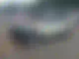 Vehicle Image- 2007 Ford Edge