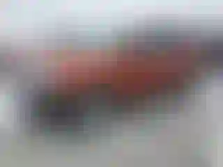 Vehicle Image- 2008 Ford Edge