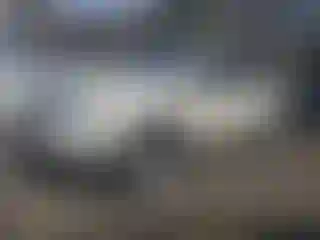 Vehicle Image- 2008 Ford Edge