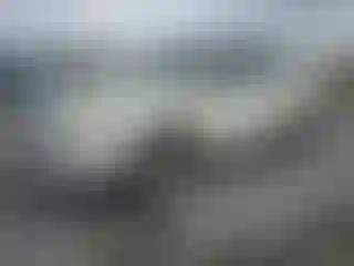 Vehicle Image- 2007 Ford Edge