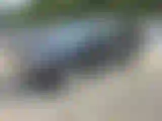 Vehicle Image- 2008 Ford Edge