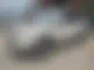 Vehicle Image- 2008 Ford Edge