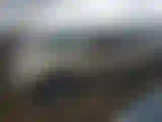 Vehicle Image- 2007 Ford Edge