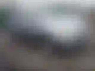 Vehicle Image- 2007 Ford Edge