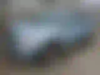 Vehicle Image- 2008 Ford Edge