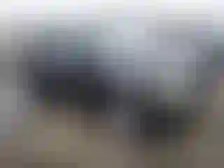 Vehicle Image- 2007 Ford Edge